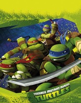 Teenage Mutant Ninja Turtles themed party supplies and decorations.
