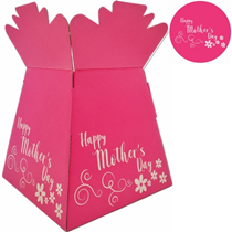 Happy Mother's Day Pink Daisies Living Vase Bouquet Box