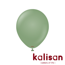 Kalisan Retro 12" Eucalyptus Latex Balloons 100pk