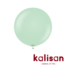 Kalisan Standard 24" Macaron Green Latex Balloons 2pk
