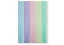 Multi Coloured Pastel Tissue Paper - 10 Sheets