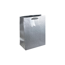 Silver Ombre Medium Gift Bag 6pk