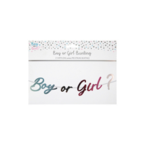Gender Reveal Boy Or GIrl Foil Letter Banner