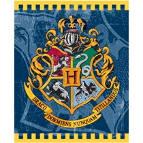 8 Harry Potter Loot Party Bags