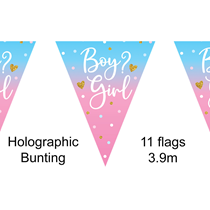 Gender Reveal Boy Or Girl Party Bunting 3.9m 11 Flags