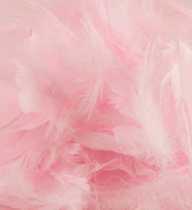 Eleganza Light Pink Mixed Feathers 50g