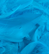 Eleganza Turquoise Mixed Feathers 50g