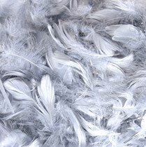 Eleganza Silver Mixed Feathers 50g