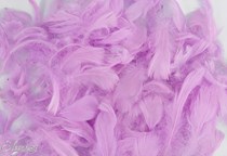 Eleganza Pastel Lavender Mixed Feathers 50g