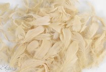 Eleganza Pampas Mixed Feathers 50g