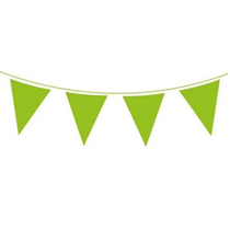 Green Solid Colour Bunting 20 Flags 10m