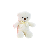 Ivory Sitting Bear Soft Toy 20cm