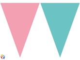Pink and Cactus Green Flag Bunting Banner