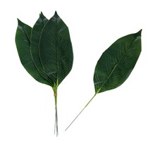 Green Aspidistra Leaf 44cm 6pcs