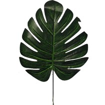 Green Split Philo Leaf 6pcs