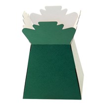 green Cardboard Living Vase Display Box