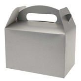 Silver Party Box 6pk