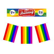 Pride Rainbow Flag Bunting 7M