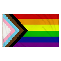 Pride LGBTQIA+ Progress 5ft x 3ft Flag