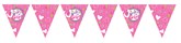 Pink It's A Girl Paper Flag Bunting 12ft
