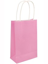 Small Light Pink Paper Gift Bags 24pk