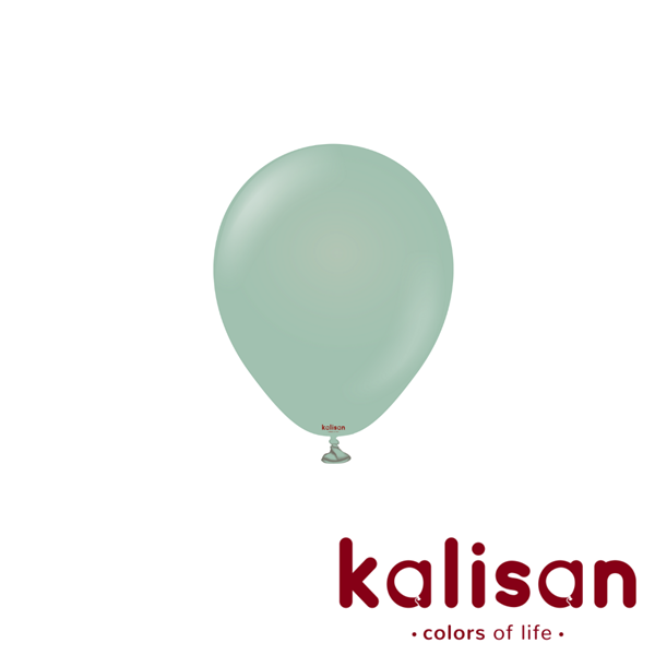 Kalisan Retro 5" Winter Green Latex Balloons 100pk