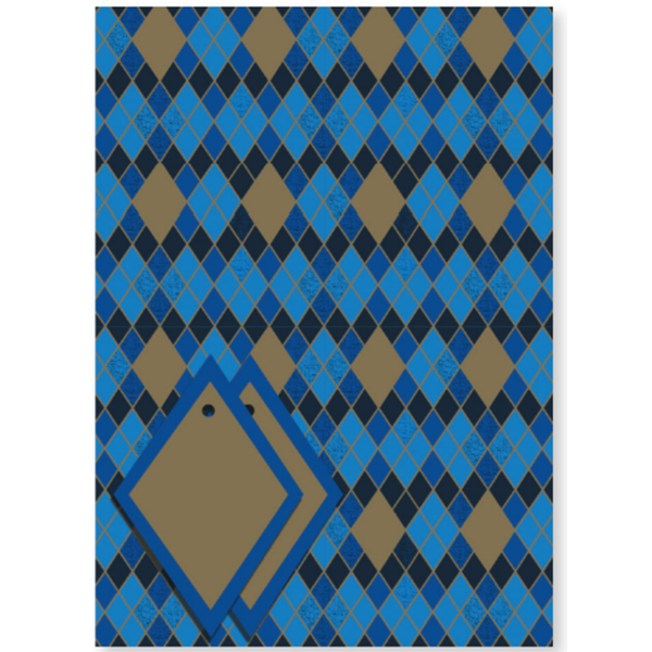 Blue & Gold Gift Wrap Sheets & Tags 2pk
