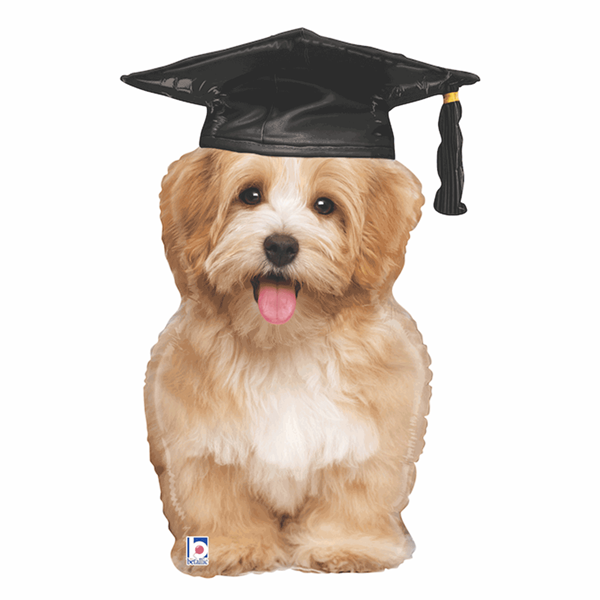 Graduation Puppy 32" Foil Balloon