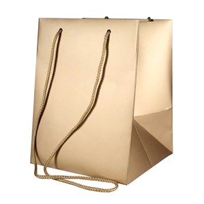 Metallic Gold Hand Tie Gift Bag