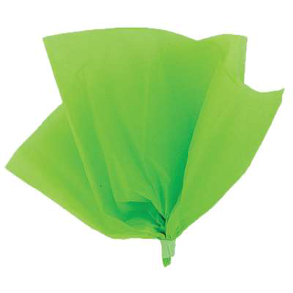 Lime Green Tissue Paper Sheets 10pk