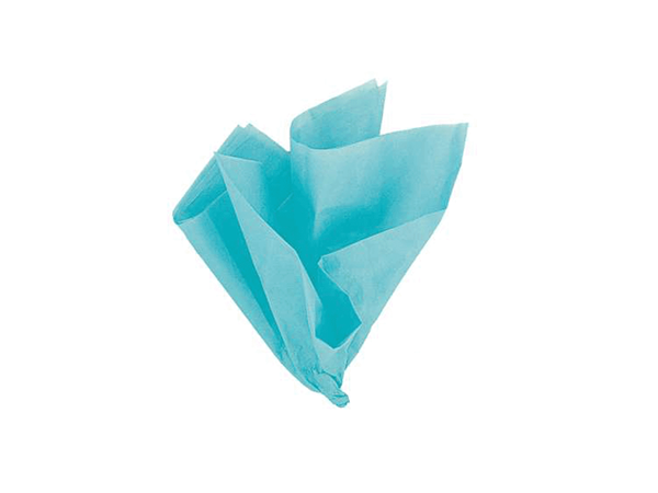 Teal Tissue Paper Sheets 10pk