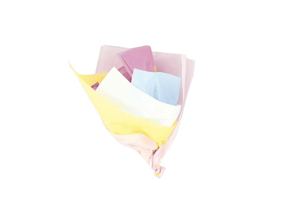 Pastel Assorted Tissue Paper Sheets 10pk