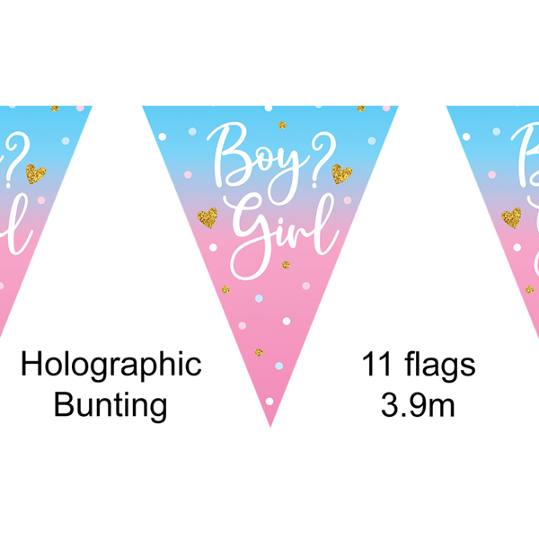 Gender Reveal Boy or Girl Party Flag Banner Bunting 3.9m