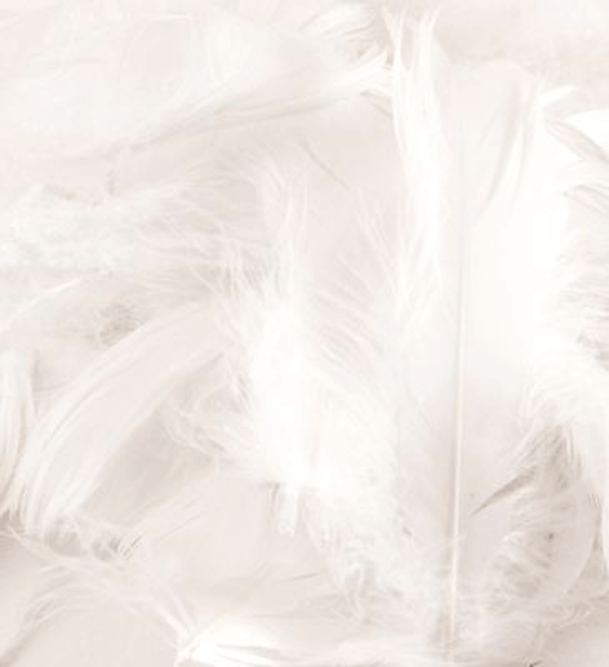 Eleganza White Mixed Feathers 50g