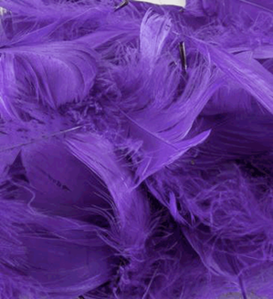 Eleganza Purple Mixed Feathers 50g