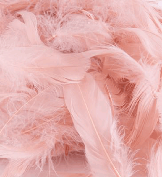 Eleganza Rose Gold Mixed Feathers 50g