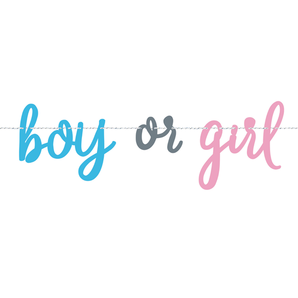 Boy or Girl Gender Reveal Banner 7ft