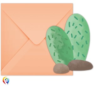 Llama Party Cactus Invitations and Envelopes 6pk