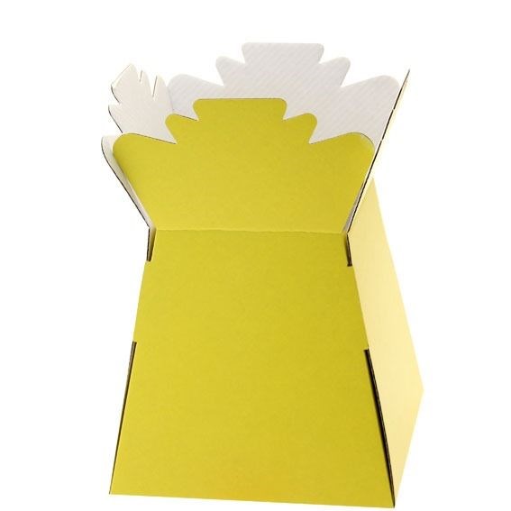 Yellow Living Vase Display Box 17.5cm x 24.5cm