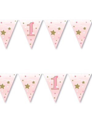 Twinkle LIttle Star Pink 1st Birthday Flag Banner