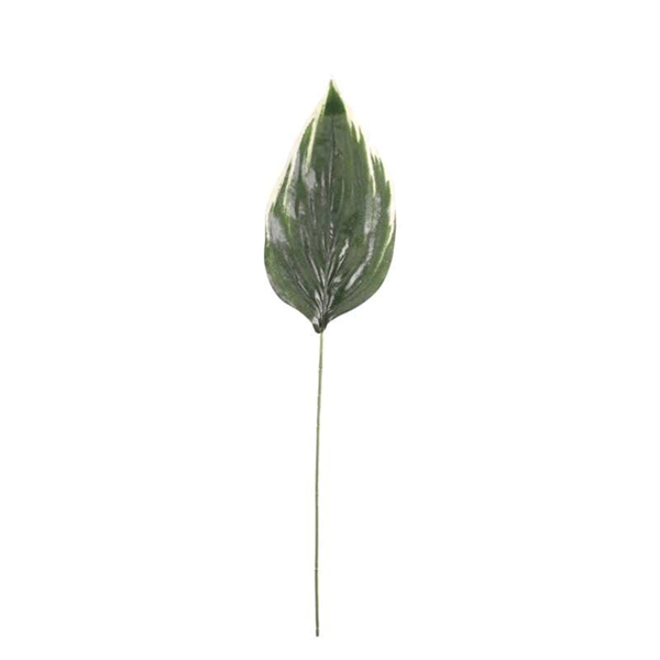 Green Hosta 26" Single Leaf