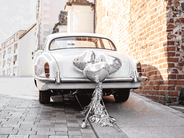Hearts, Tassels & Cans Wedding Car Decoration Kit 9pce