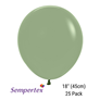 Sempertex Eucalyptus 18" Latex Balloons 25pk