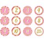 Glitter Baby Girl Monthly Milestone Stickers 12pk